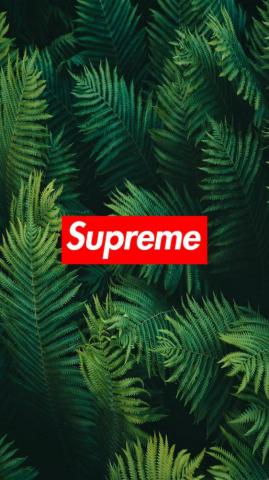 Ideas For A Cool And Fresh Supreme Wallpaper