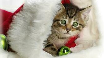 Kerst Kat Wallpaper