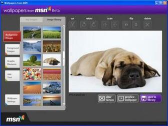 Wallpaper From Msn S Multimedia Gallery