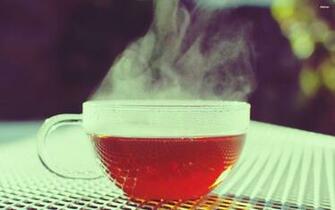 Steaming Hot Cup Of Tea HD Desktop Mobile Wallpaper Background