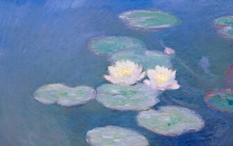 Waterlilies By Monet Desktop High Quality Wallpaper