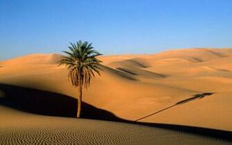 Alpha Coders Earth Desert
