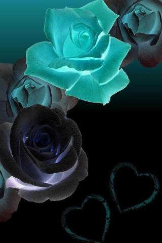 Black And Teal Roses Wallpaper Teahub Io