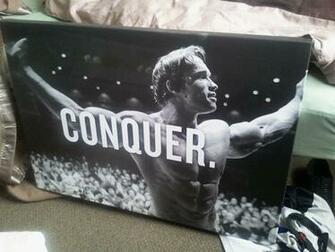 Arnold Conquer