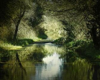 Peace Nature Wallpaper