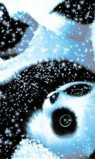 Cute Panda Bear Live Wallpaper For