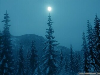 Wallpaper Country Winter Sun