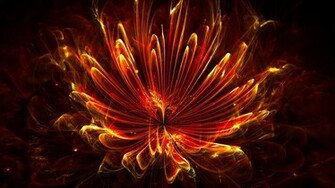 Wallpaper Flower Floral Fiery Gallery