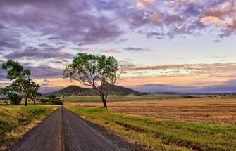 Field Sunset Road Nature Wallpaper