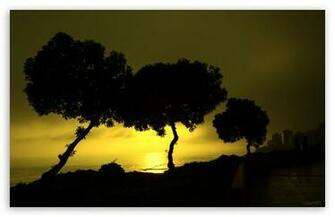 Miraflores Peru HD Wallpaper For Standard Fullscreen Uxga Xga