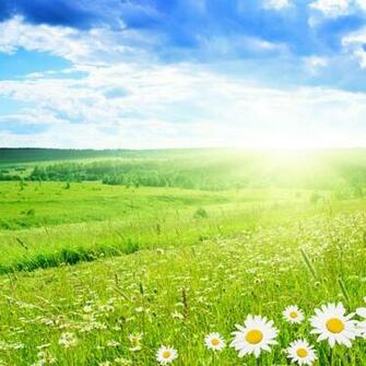 iPad Wallpaper Spring