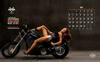 Harley Davidson Motorcycles Wallpaper Photosjunction