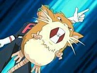 Pokemon Raticate Hot Girls Wallpaper