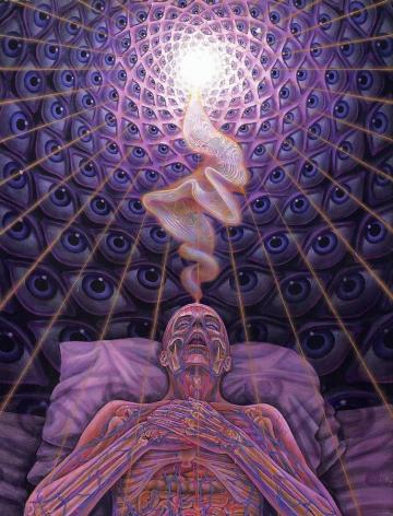 Tool Purple Trippy Art Wallpaper