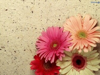 Pretty Ness Flowers Wallpaper