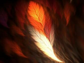 Awesome Feathers HD Wallpaper
