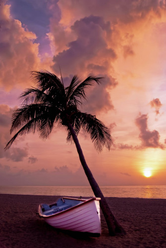4k Summer Wallpaper