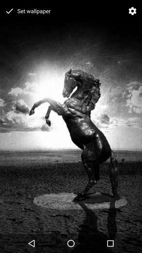 Dark Horse Wallpaper For Android Apk