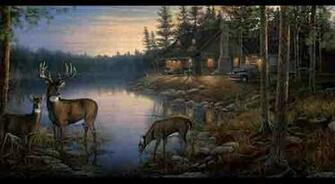 Deer Forest Scene Wallpaper Border Wd4100b