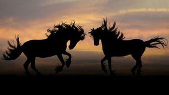 Horse 4k Ultra HD Wallpaper Silhouettes