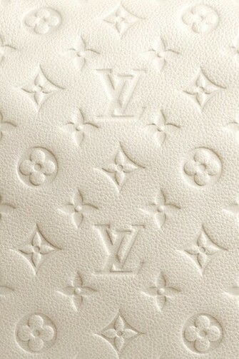 Louis Vuitton Monogram Neige iPhone Wa
