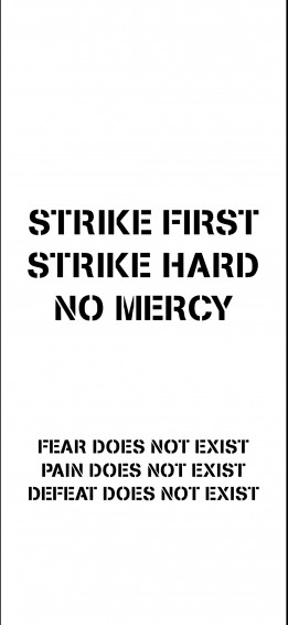 Made A Phone Wallpaper With The Cobra Kai Mottos On It R Cobrakai