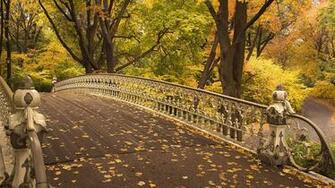 Pin Fall Central Park New York HD Wallpaper
