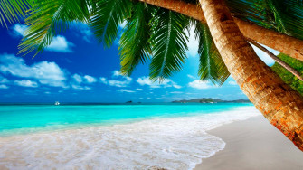 Tropical Paradise Vacations HD Wallpaper