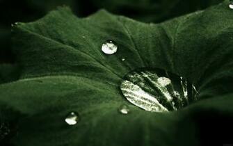 Full HD Wallpaper Photography Desktop Widescreen Photos
