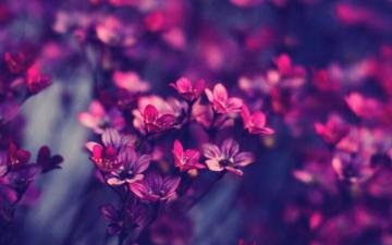 Elegant Landscape Photography Wallpaper Pictur