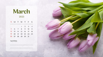 And Customizable March Templates