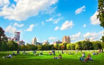 Spring In New York Wallpaper