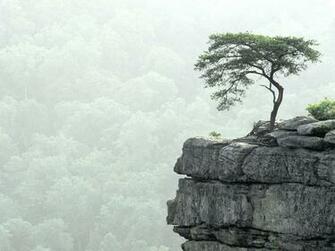 Best Nature HD Wallpaper Pack Bilder Und Videos