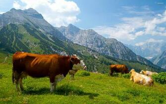 Alps Wallpaper
