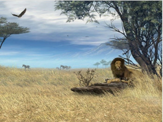 Safari Wallpaper