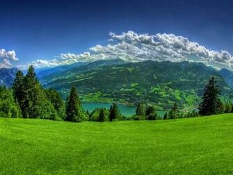 Beautiful Green Background Top Wallpaper For Laptop