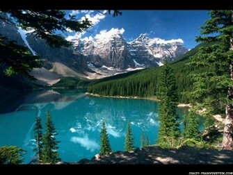 Beautiful Forest Wallpaper Image At Clker Vector Clip