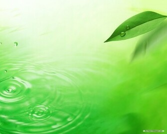 Wallpaper Green Leaves Index