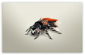 Biomechanics African Bee HD Wallpaper For Standard Fullscreen