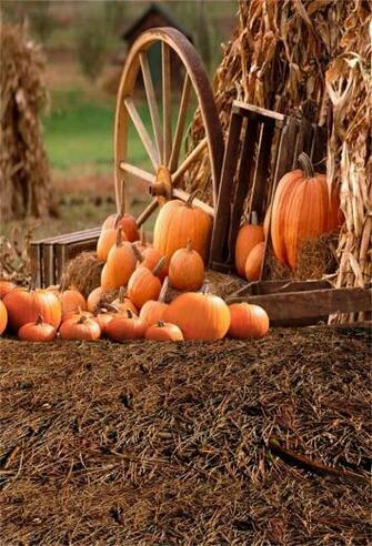 Amazon Aofoto Fall Farm Hay And Pumpkins Background