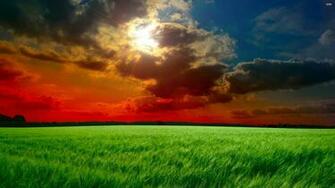 Green Field Wallpaper