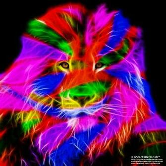 Rainbow Lion Wallpaper