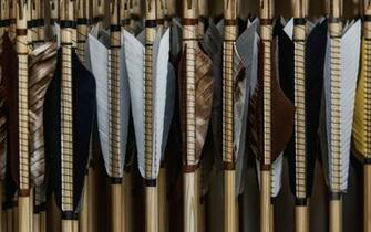 Image Wooden Arrow Feathers Closeup