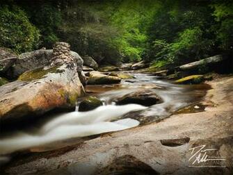 Trout Stream Wallpaper And It As A
