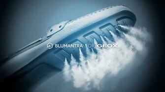 Case Study Geox Wellbeing Blumantra