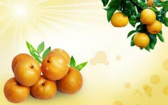 Web Fruit Design Image Background Wallpaper Collections