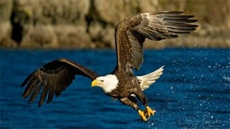 Url Wallpaperpin Surprise Me Filesize 121k