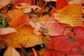 King James Kjb Versed Christian Wallpaper October