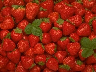 Strawberry Wallpaper Fruit
