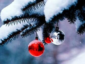 Christmas Tree HD Wallpaper In For Your